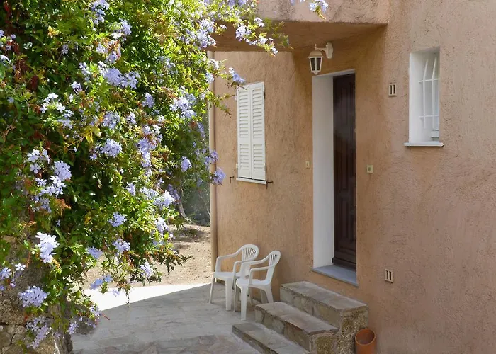 Petit Paradis Pres Ile Rousse Les Cortalines Lama